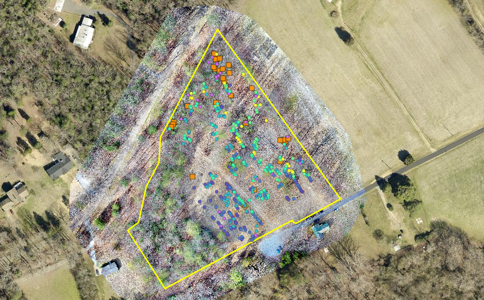 St. James Cemetery map